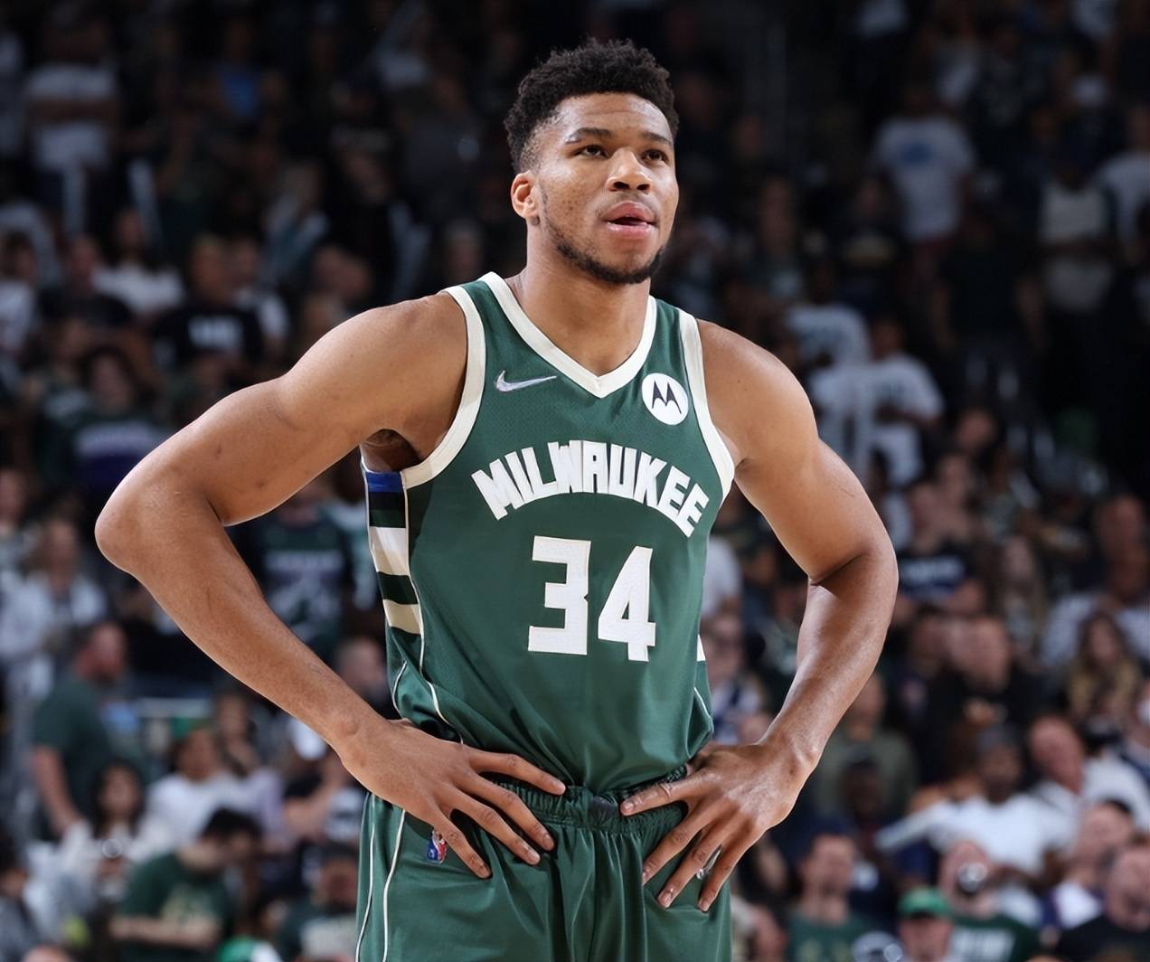 山楂等农品 山楂等农品